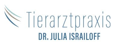 Dr. Israiloff Logo